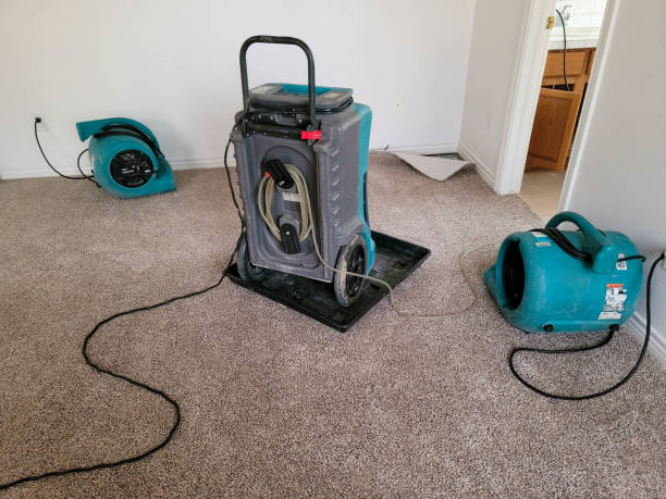 Best Flood restoration services  in Boaz, AL