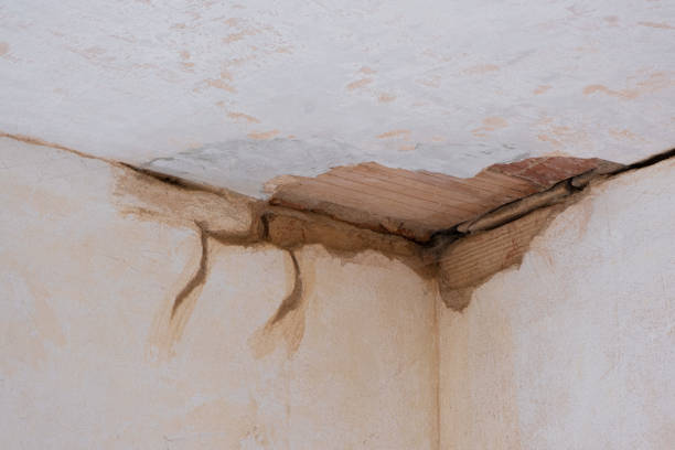 Best Flood damage cleanup  in Boaz, AL
