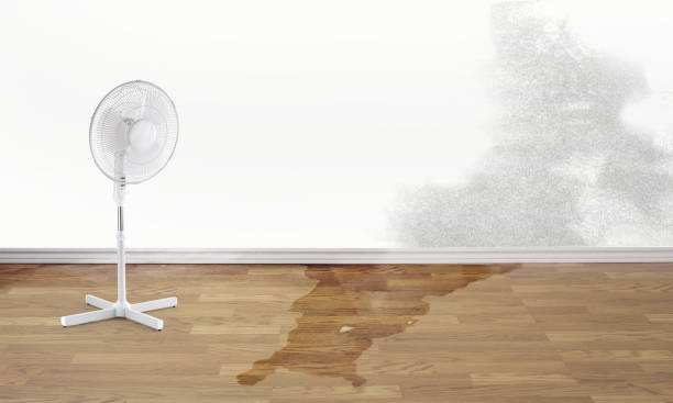 Best Water damage repair service  in Boaz, AL