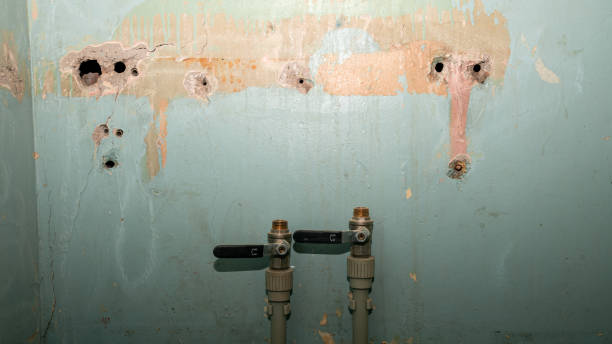 Best Water damage cleanup near me  in Boaz, AL