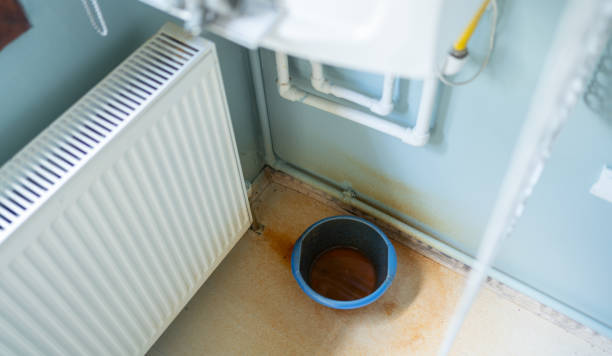 Best Fire Damage Restoration  in Boaz, AL