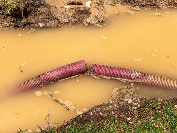 Best Sewage cleanup and water damage restoration  in Boaz, AL